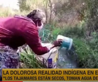 Indígenas del Chaco beben agua de charcos y no son asistidos por el Gobierno