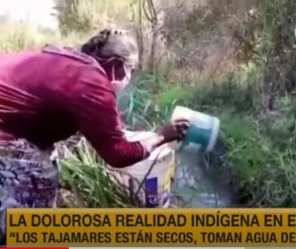 Indígenas del Chaco beben agua de charcos y no son asistidos por el Gobierno