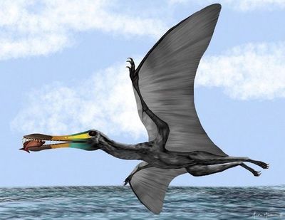 Colombia halla fósiles de reptil volador - Ciencia - ABC Color
