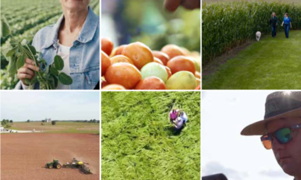 » SUSTENTABILIDAD Corteva presenta metas para el 2030