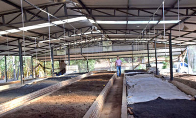 » Humus y compost para la sostenibilidad del suelo