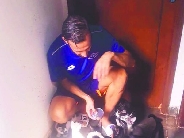 Convirtió su casa en un refugio para peluditos