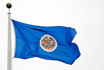 Partido de Evo Morales rechaza a OEA como observadora en elecciones de Bolivia - Mundo - ABC Color