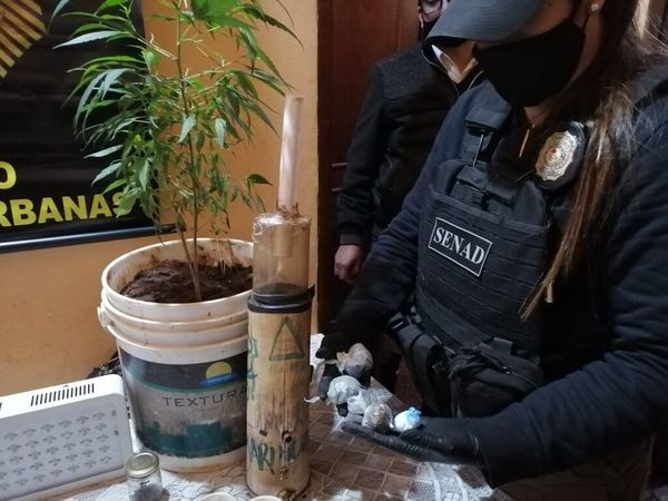 Luque: detención de distribuidor e incautación de cocaína y marihuana