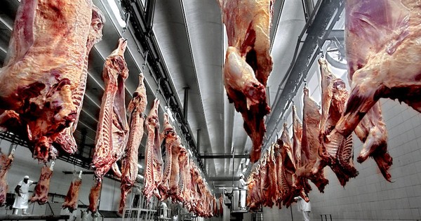 La exportación de carne se incrementó casi el 10%