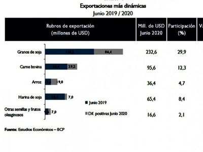 Exportación agropecuaria  repunta en junio y la caída  se desacelera