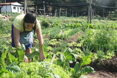 Senatur y MAG promueven uso de huertas ecológicas en posadas turísticas rurales