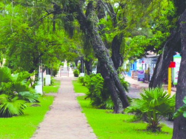 Areguá: declararon emergencia sanitaria