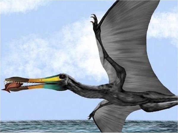 Descubren fósiles de reptil volador de hace 135 millones de años