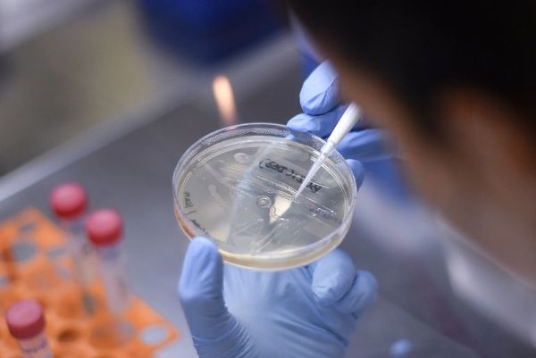 China detecta el coronavirus en paquetes de camarones ecuatorianos - Mundo - ABC Color