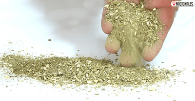 Delinean estrategias para fortalecer presencia de la yerba mate en los mercados internacionales