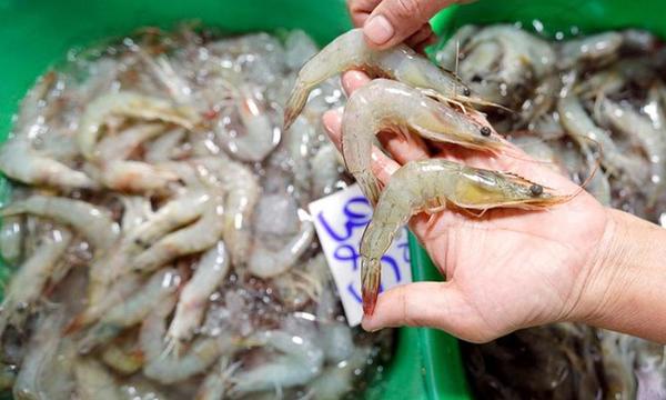 China suspendió la importación de gambas de Ecuador: dice haber detectado coronavirus en los paquetes – Prensa 5