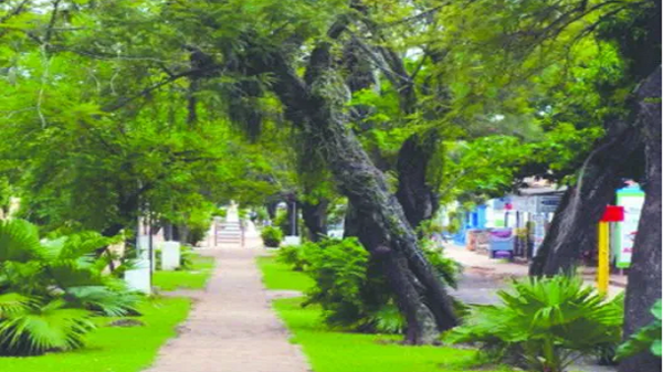 Areguá: declararon emergencia sanitaria - PARAGUAYPE.COM