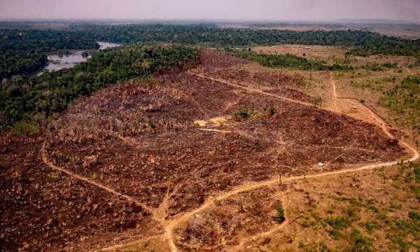 Alertas de deforestación en la Amazonía suben 25 % en seis meses » Ñanduti