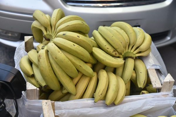 MAG trabaja en buscar comercios para “ubicar” producción de banana, afirman  - Nacionales - ABC Color