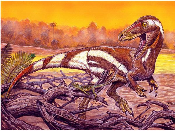Hallan fósil de una especie de dinosaurio desconocida en Brasil