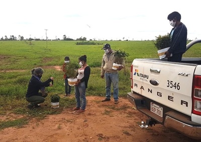 Entregan plantines a comunidades indígenas de Itakyry - Noticde.com