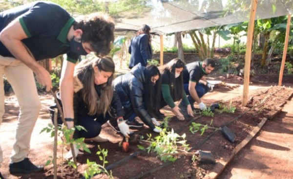 Vivero municipal se reactiva y prevén creación de huertas comunitarias