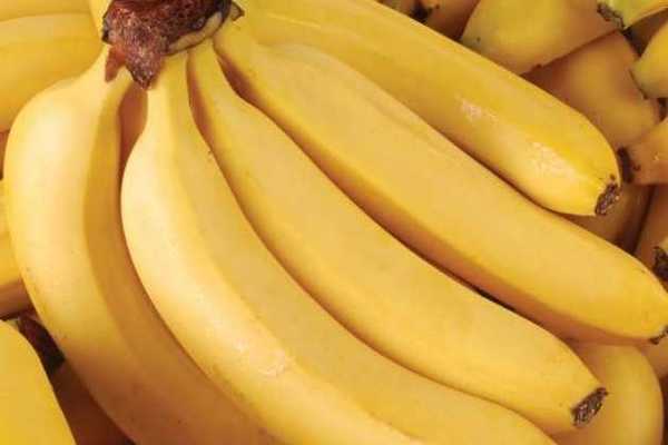 MAG busca comercios para vender producción de banana