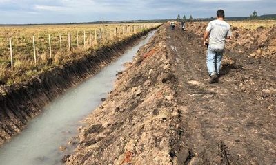 Intervienen construcciones realizadas de manera irregular en las adyacencias del río Monday – Diario TNPRESS