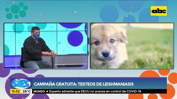 Campaña gratuita de test de leishmaniasis - Ensiestados - ABC Color