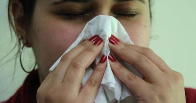 Casos de alergia son comunes en el país y se disparan durante todo el año