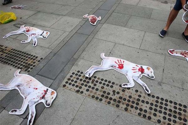 Camboya prohíbe comercio de carne de perro - Mascotas - ABC Color