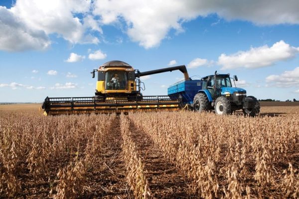 Buena cosecha agrícola mantiene estable la economía durante la pandemia