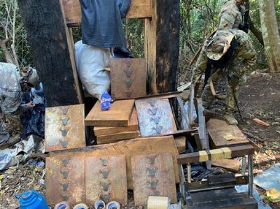 Destruyen complejo narco con 10 campamentos para cultivos de marihuana