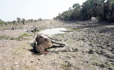 Pobladores del Chaco piden ayuda al gobierno para acceder a agua potable - Contacto Ciudadano - ABC Color