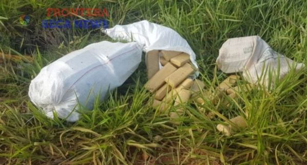 Incautan media tonelada de marihuana en zona rural de Pedro Juan