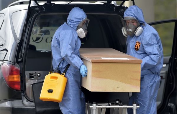 Más de 560.000 muertos por coronavirus - Mundo - ABC Color