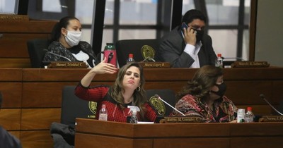 Comisión actuó como blindaje en compra de insumos, según diputada