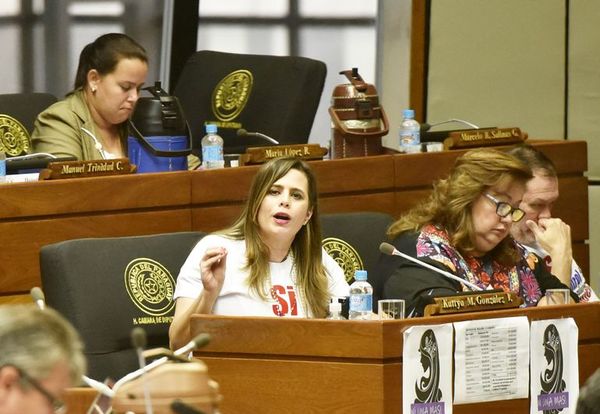 Kattya considera que comisión ya “blindó” a responsables de estafas al Estado  - Nacionales - ABC Color