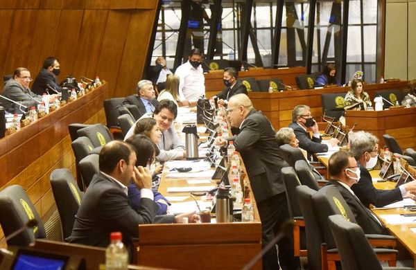 Ante caso confirmado de COVID-19, Diputados tendrá sesiones “mixtas” - Nacionales - ABC Color