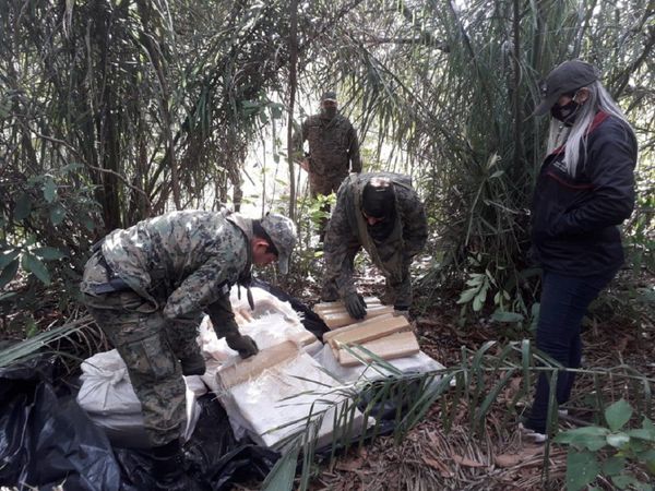 Incautan 500 kilos de marihuana en Pedro Juan Caballero