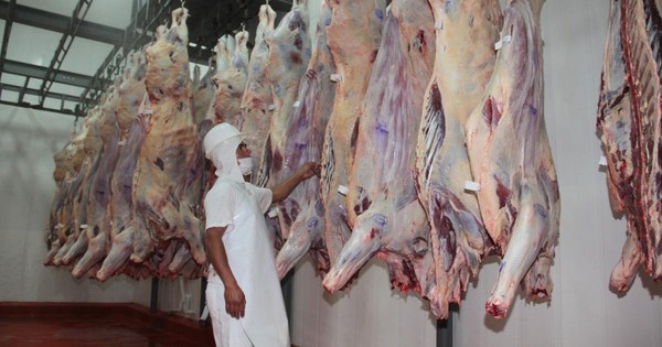 Exportaciones de carne a Israel se reanudarán en este mes