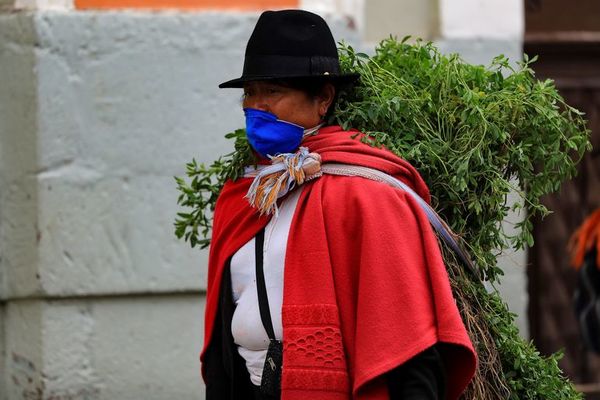 Ecuador supera 5.000 fallecimientos confirmados por COVID-19 - Mundo - ABC Color