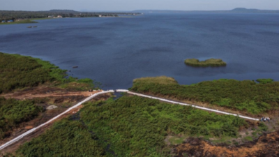 HOY / Avanza la colocación de geobolsas para recuperar el Lago Ypacaraí