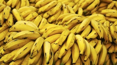Productores denuncian importante perjuicio tras cancelación de pedido por parte del MEC