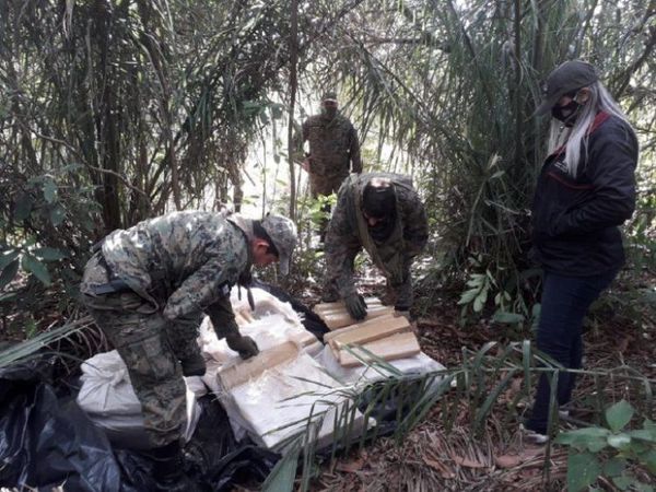 Incautan 500 kilos de marihuana en Estrella