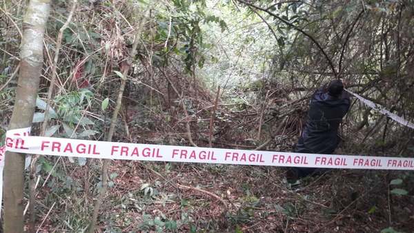 HALLAN CADÁVER DE UNA INDIGENA EN UN BOSQUE DE PIRAPÓ 