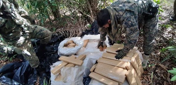 Incautan 500 kilos de marihuana en Amambay - Nacionales - ABC Color