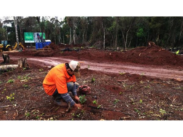 Junto a la reforestación de Puerto Indio se busca ayudar a campesinos