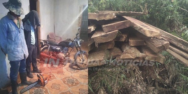 INTERVIENEN EN PRESUNTO TRÁFICO ILEGAL DE MADERA NATIVA EN CARLOS A. LÓPEZ