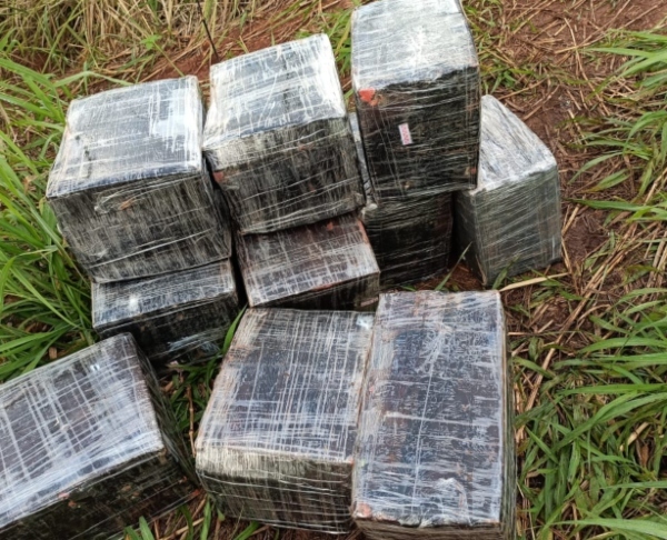 Incautan dos cargas de marihuana en Alto Paraná - Megacadena — Últimas Noticias de Paraguay