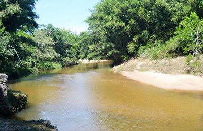 Denuncian desecho irregular de curtiembre al arroyo Yhaguy-mí » Ñanduti