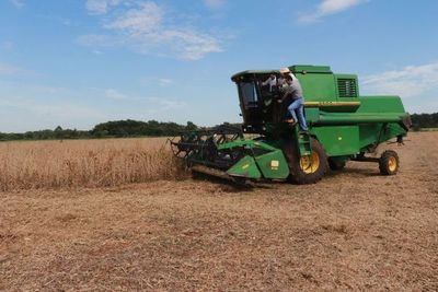 “Sin seguridad en el campo no se puede trabajar” - Nacionales - ABC Color