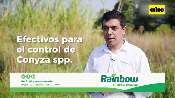 Abc Rural: Cómo controlar la maleza Conyza  - ABC Rural - ABC Color