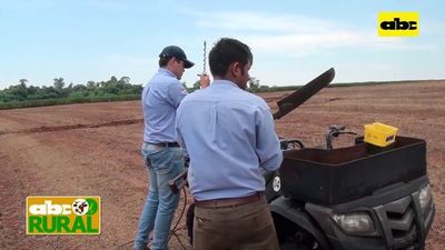Abc Rural: Agricultura de precisión para pequeños productores - ABC Rural - ABC Color